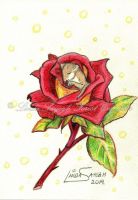 Rose Bed